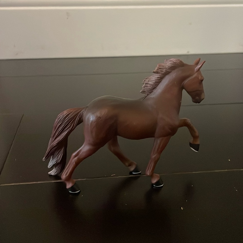 Tennessee walking horse 2006